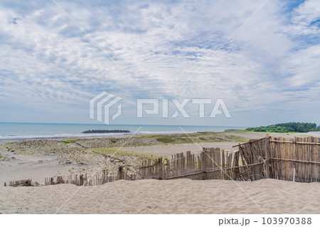 （静岡県）中田島砂丘 103970388