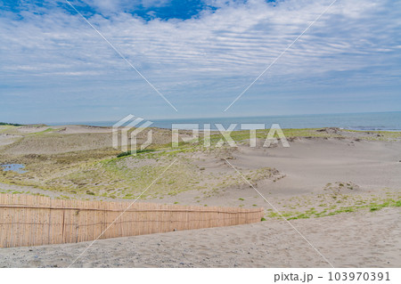 （静岡県）中田島砂丘 103970391