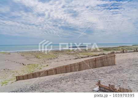 （静岡県）中田島砂丘 103970395