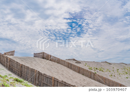 (静岡県)中田島砂丘 (静岡県)中田島砂丘 103970407