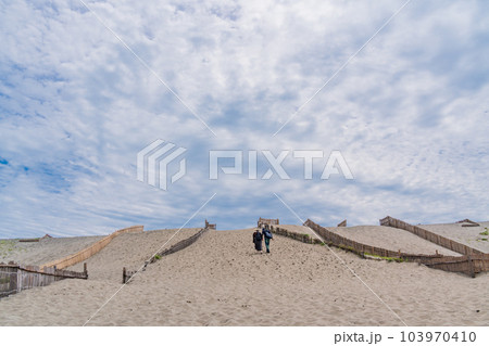 （静岡県）中田島砂丘 103970410