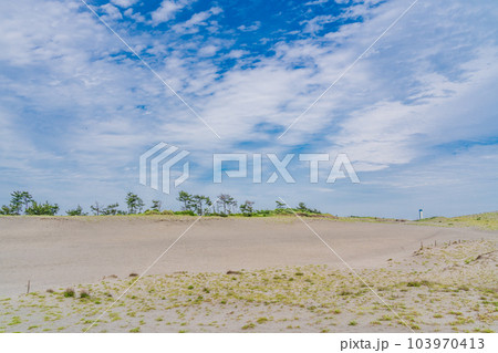（静岡県）中田島砂丘 103970413