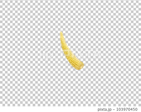 リアルなヤングコーンのイラスト リアルなヤングコーンのイラスト 103970450