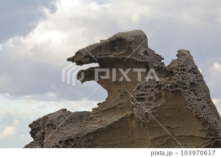 男鹿の奇岩（ゴジラ岩　秋田県 男鹿半島） 103970617