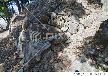 美濃金山城　本丸付近の石垣 103971104