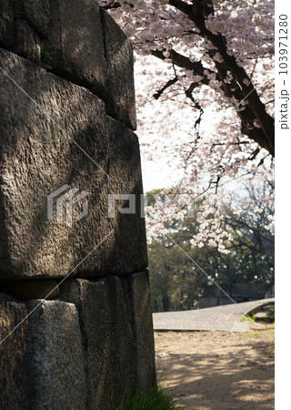 大阪城公園の春 103971280