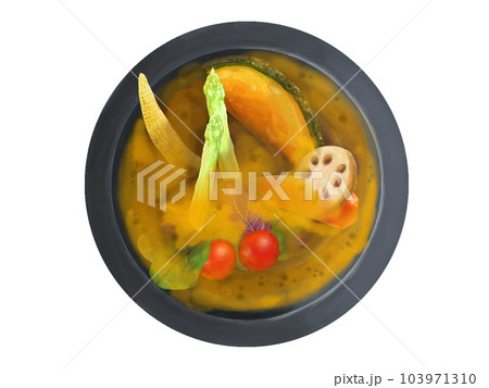 リアルなスープカレーのイラスト リアルなスープカレーのイラスト 103971310