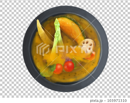 リアルなスープカレーのイラスト リアルなスープカレーのイラスト 103971310