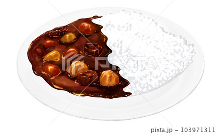 リアルなカレーライスのイラスト リアルなカレーライスのイラスト 103971311