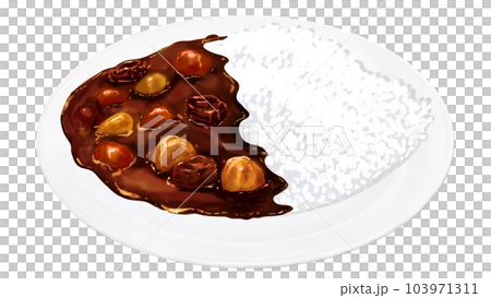 リアルなカレーライスのイラスト リアルなカレーライスのイラスト 103971311