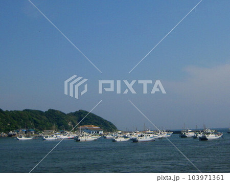 三浦半島 松輪 江奈湾 103971361
