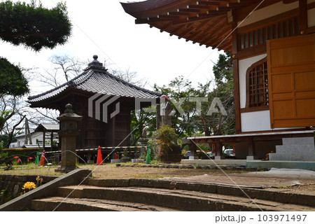 弘経寺(ぐぎょうじ)の彼岸花 #74 弘経寺(ぐぎょうじ)の彼岸花 #74 103971497