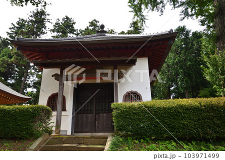 弘経寺(ぐぎょうじ)の彼岸花 #76 弘経寺(ぐぎょうじ)の彼岸花 #76 103971499