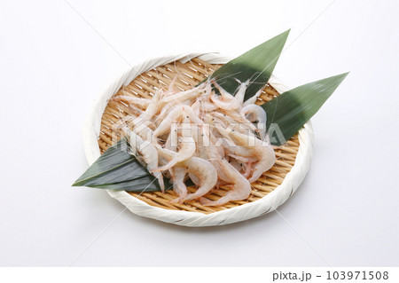 笊に盛った生の白エビ 103971508