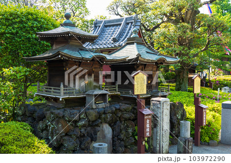 東京観光の定番スポット 浅草 浅草寺 金龍権現と九頭竜権現 東京観光の定番スポット 浅草 浅草寺 金龍権現と九頭竜権現 103972290