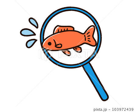金魚すくい　ポイ　すくい網 103972439