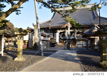 鴨川市 誕生寺祖師堂と参道と松の木 鴨川市 誕生寺祖師堂と参道と松の木 103972572