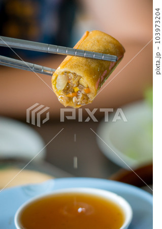 Fried spring rolls on a white plate and spicy sauce Fried spring rolls on a white plate and spicy sauce 103973204