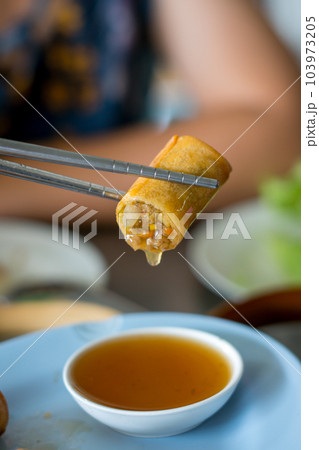 Fried spring rolls on a white plate and spicy sauce 103973205
