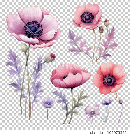Black Neutral Anemone Flower Canvas Wall Art | Green Lili