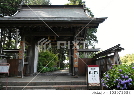 千葉県香取郡多古町 日本寺の紫陽花と山門 103973688