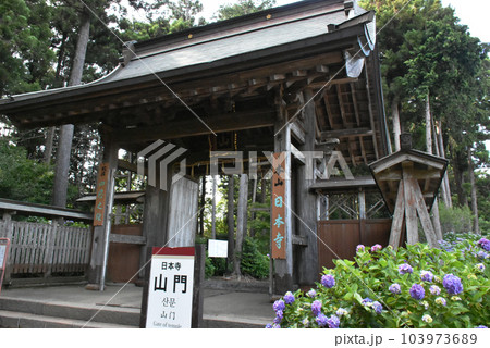 千葉県香取郡多古町 日本寺の紫陽花と山門 千葉県香取郡多古町 日本寺の紫陽花と山門 103973689