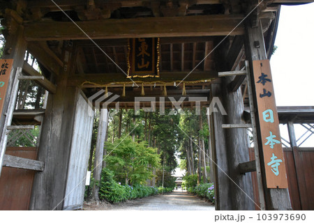 千葉県香取郡多古町 日本寺の紫陽花と山門 千葉県香取郡多古町 日本寺の紫陽花と山門 103973690