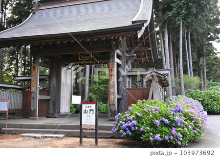千葉県香取郡多古町 日本寺の紫陽花と山門 千葉県香取郡多古町 日本寺の紫陽花と山門 103973692