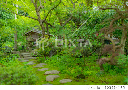 【神奈川県】新緑に包まれる覚園寺境内　※撮影協力「覚園寺」プロパティリリース取得済 103974186
