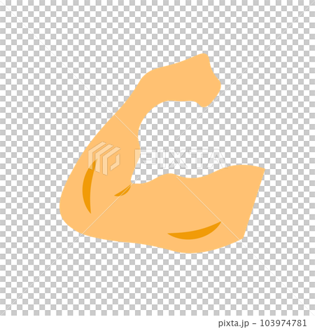 フラットデザインの筋肉トレーニングアイコン。上腕二頭筋。ベクター。 103974781