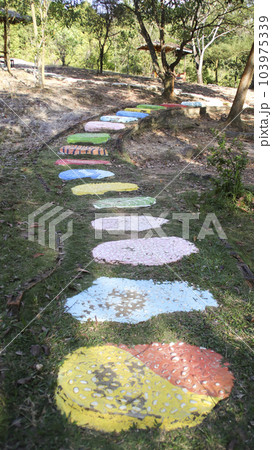 Colorful stepping stone pathway laying on the ground at garden or park. Colorful stepping stone pathway laying on the ground at garden or park. 103975339