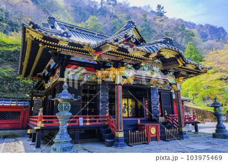 妙義神社社殿 妙義神社社殿 103975469