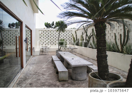 Outdoor cafe with cactus and aloe vera near the wall beautiful architectural. Outdoor cafe with cactus and aloe vera near the wall beautiful architectural. 103975647