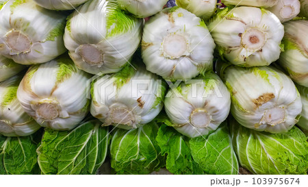 Green chinese cabbage vegetable stack each other at the traditional market. Green chinese cabbage vegetable stack each other at the traditional market. 103975674