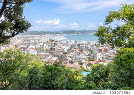 鎌倉市　長谷寺から見た鎌倉の街並み 103975862