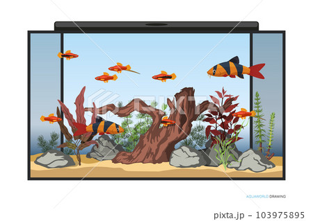 Fish tank drawing done by... - Little Achievers - Pre School | Facebook-saigonsouth.com.vn