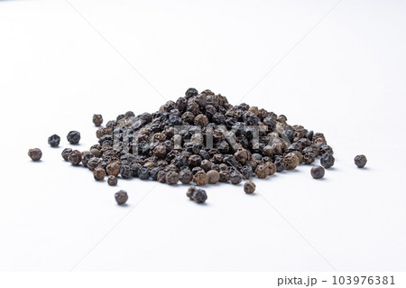 Black pepper, Piper nigrum, Satara, Maharashtra, India 103976381