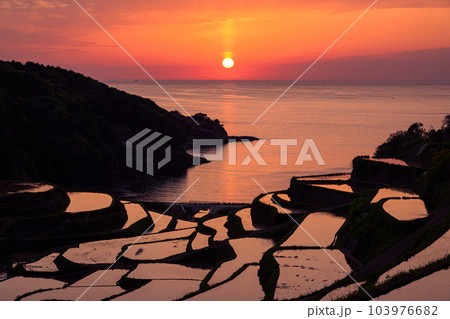 佐賀県 浜ノ浦の棚田と夕焼け 103976682