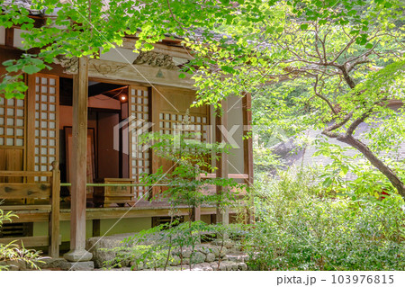 鎌倉 紫陽花が咲く6月の明月院 鎌倉 紫陽花が咲く6月の明月院 103976815