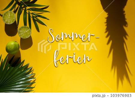 Summer Flat Lay, Tropical Fruits, Text Sommerferien Means Summer Vacation 103976983