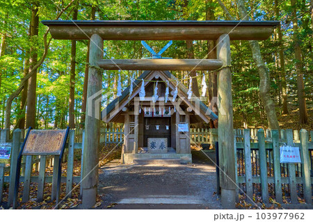 埼玉県長瀞町の宝登山の山頂にある寳登山神社奥宮 103977962