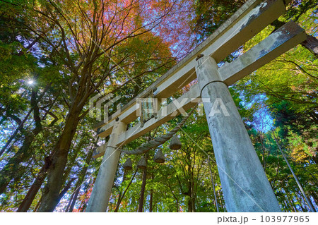 埼玉県長瀞町の宝登山山頂にある寳登山神社奥宮の鳥居(登山道側) 103977965