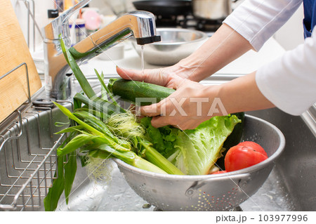 新鮮な野菜を水洗いする主婦 103977996
