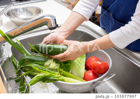 新鮮な野菜を水洗いする主婦 103977997