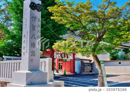 伊賀八幡宮：愛知県岡崎市 103978166
