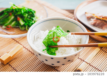 青菜の漬物で食べるご飯 103978220