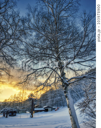 HDR】朝焼けのスキー場の風景の写真素材 [103978900] - PIXTA