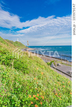 （静岡県）静岡県最南端岬・御前埼灯台 103979147