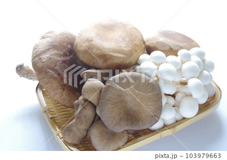 キノコの盛り合わせ　ザルに入ったキノコ 103979663