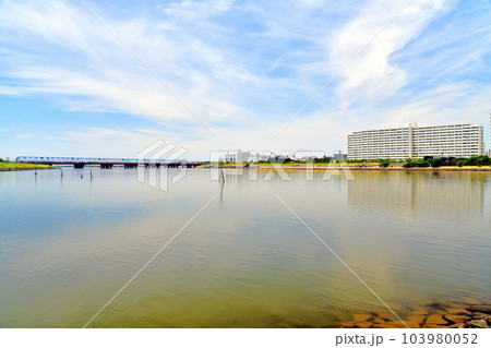 舞浜大橋/旧江戸川周辺を望む(千葉県浦安市)【2023.6】 舞浜大橋/旧江戸川周辺を望む(千葉県浦安市)【2023.6】 103980052